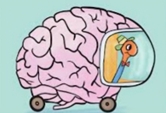 2025-05-03 Protest Measles brain worm.jpg